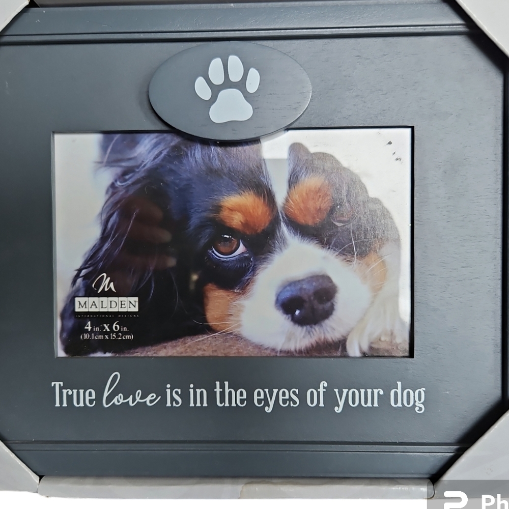 Dog Frame "True Love Is In The Eyes Of Your Dog" Picture Frame 3.5x5 - Picture 2 of 5